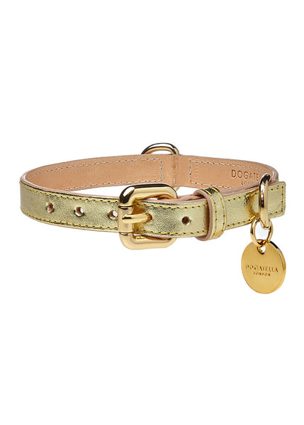 Metallic Dog Collar Gold