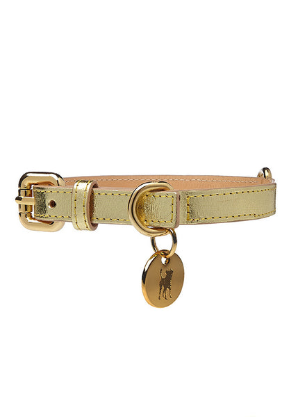 Metallic Dog Collar Gold