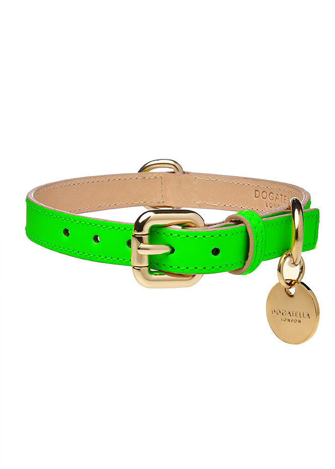 Glow Dog Collar Neon Green