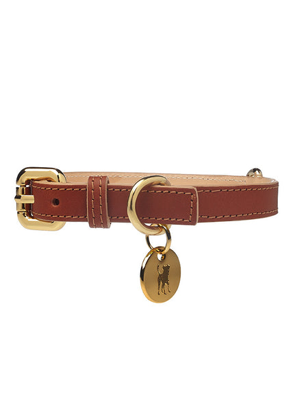 Classic Dog Collar Brown