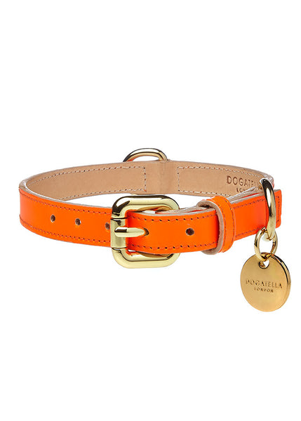 Glow Dog Collar Neon Orange