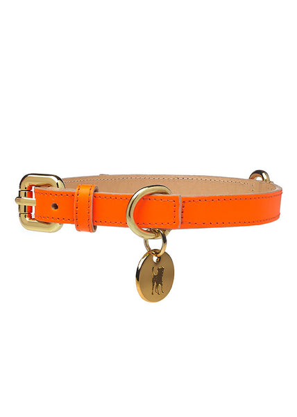 Glow Dog Collar Neon Orange