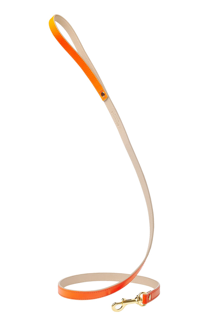 Glow Dog Lead Neon Orange